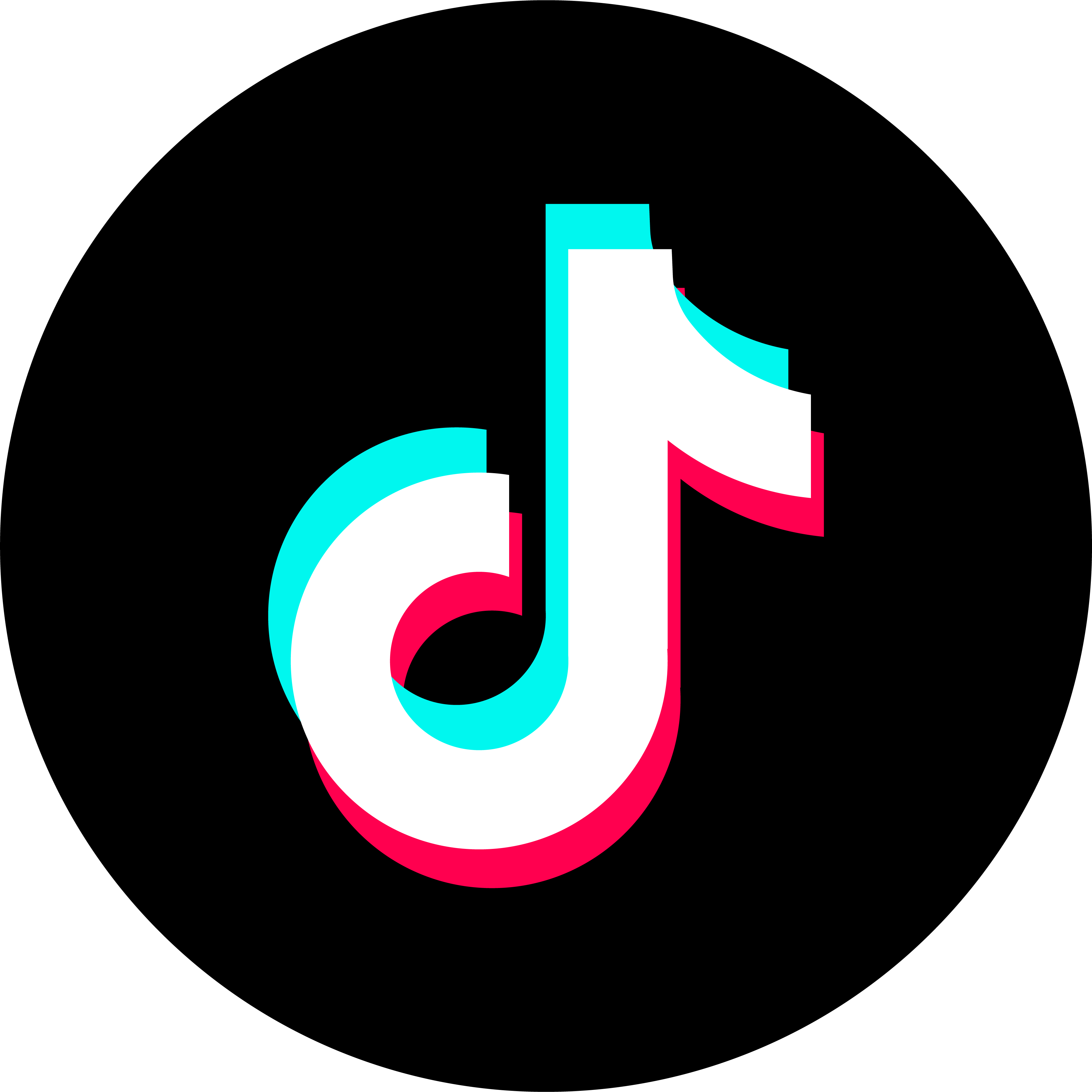 TikTok Logo